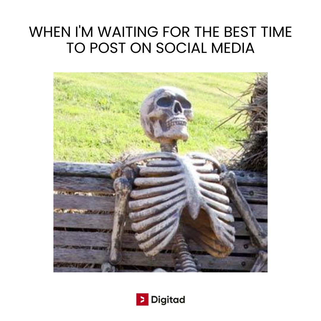 Waiting for the best times to post on social media